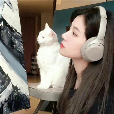 双枪假面人