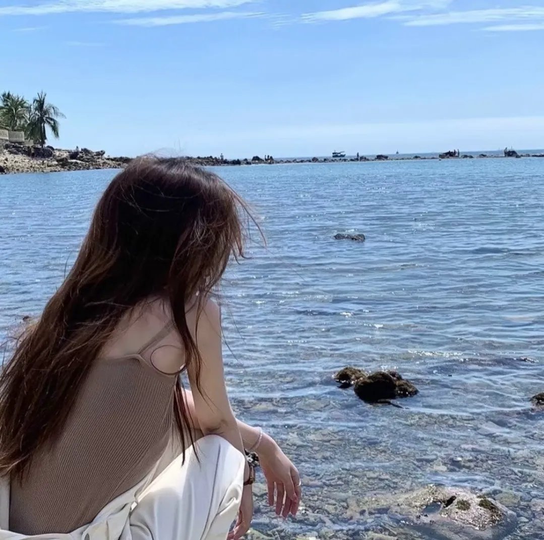 一网打尽