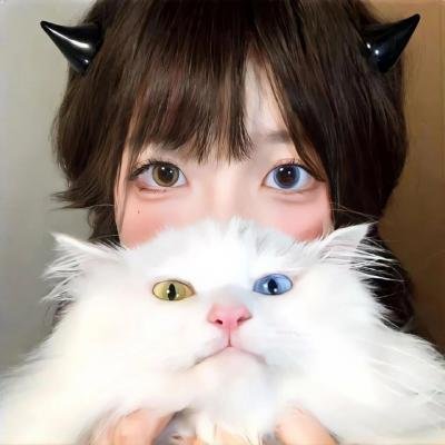 星际狗狗