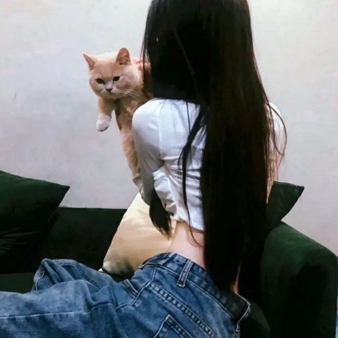 美人鱼之海盗来袭